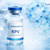KPV Peptide 5mg | Research Grade Anti-Inflammatory Peptide | ProPeptidesLab
